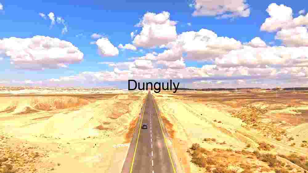 Desert Highway Single Car Journey