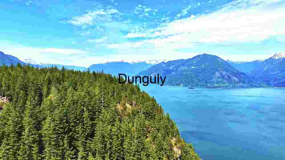 Majestic Mountain Lake and Forest Landscape