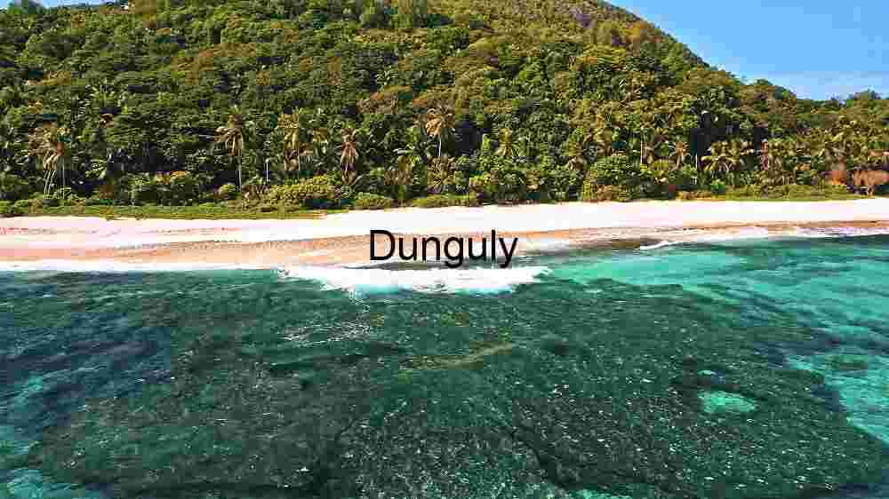 Tropical Beach Paradise