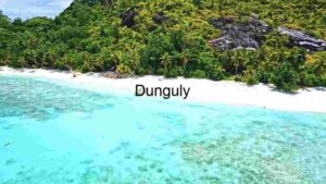 Tropical Beach Paradise