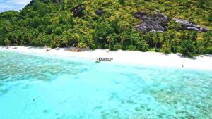 Golden Sunset over the Riverbank