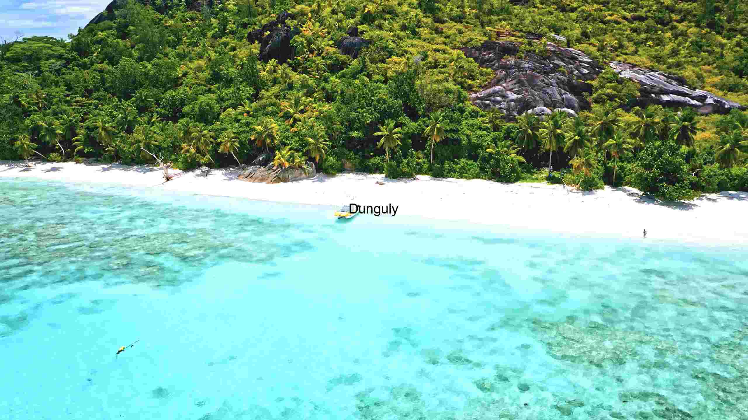 Golden Sunset over the Riverbank