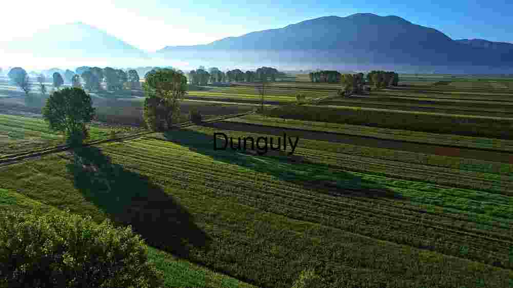 Tranquil Agricultural Fields at Sunrise