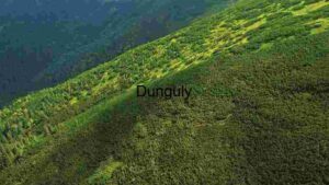 Verdant Mountain Slope