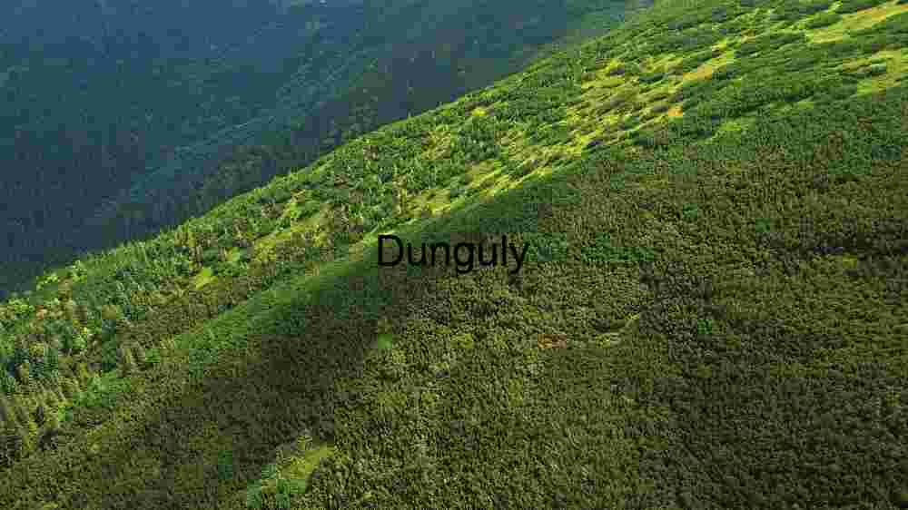 Verdant Mountain Slope