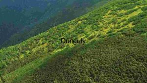 Verdant Mountain Slope