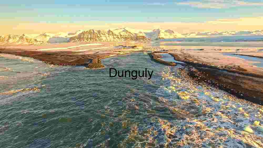 Lush Greenery in a Park