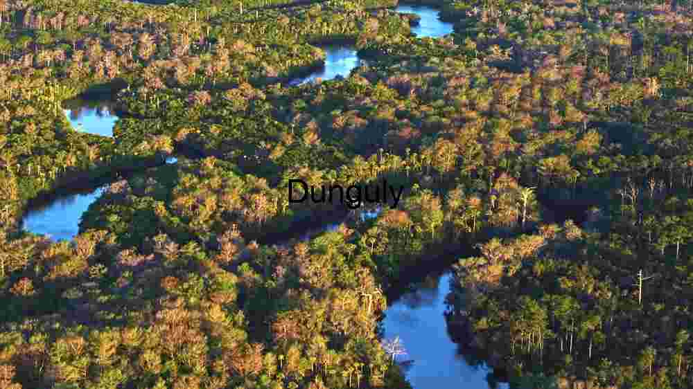 Serpentine River through Lush Forest