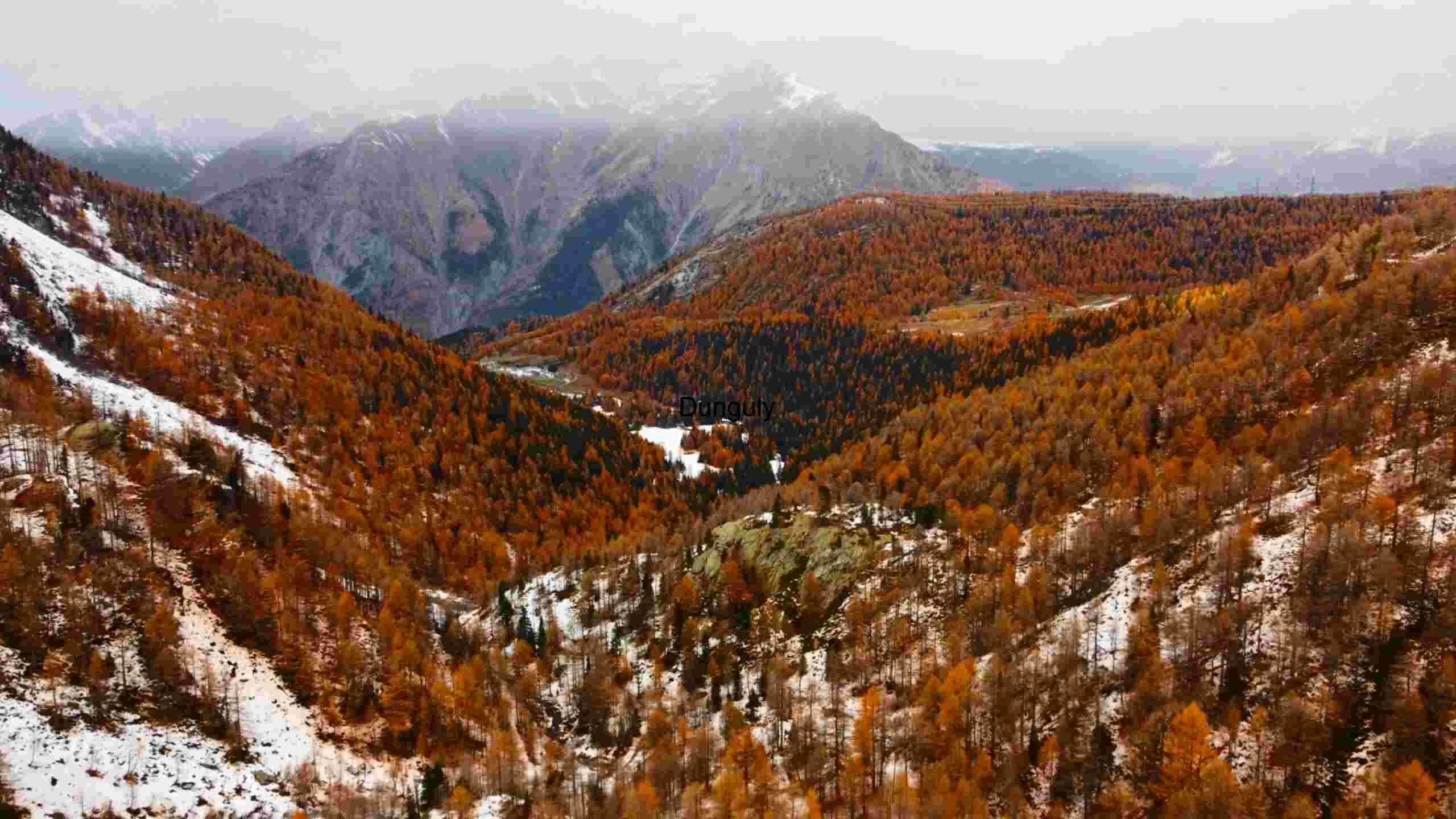 Autumnal Hues Amidst Snowy Peaks