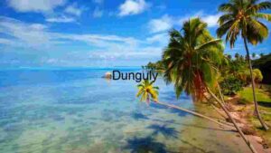 Tropical Paradise Escape