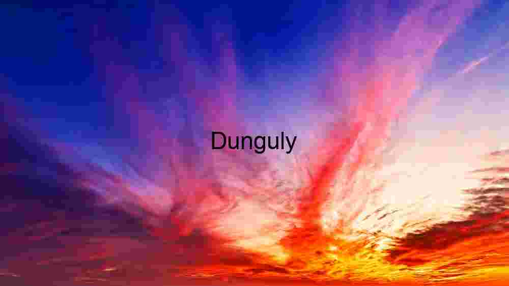 Sunset Splendor: A Vivid Sky Canvas