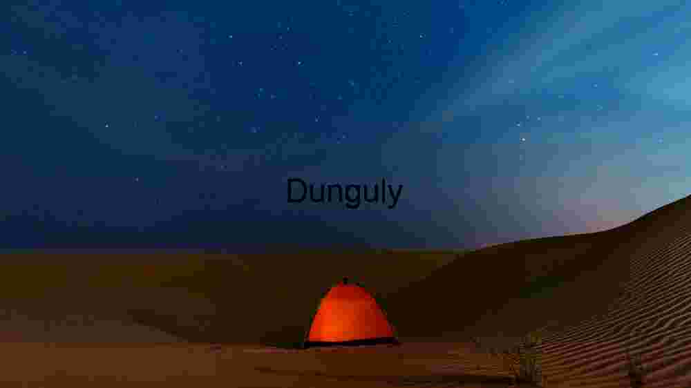 Starlit Desert Camping