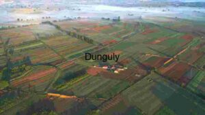 Aerial View of Patchwork Farmland at Dawn