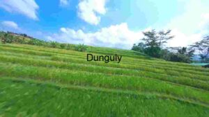 Verdant Terraced Rice Fields Under Blue Skies