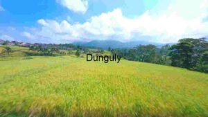 Serene Countryside Panorama