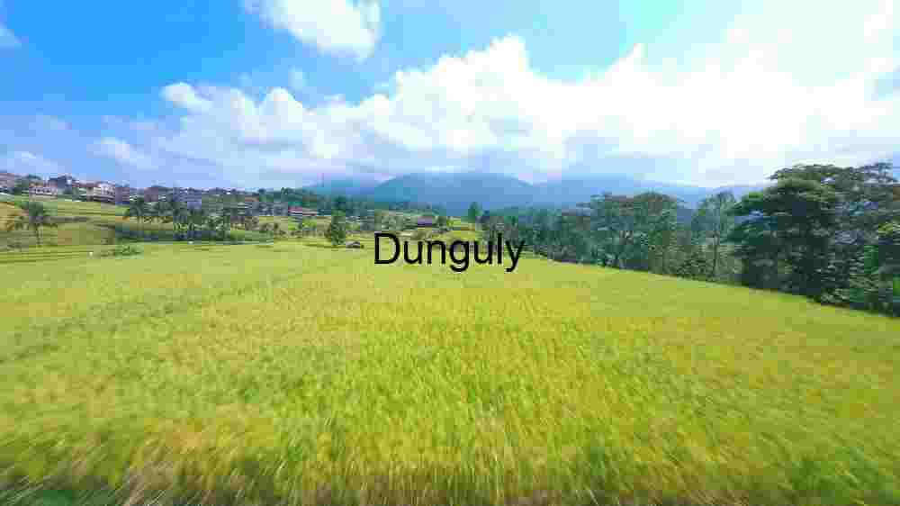 Serene Countryside Panorama