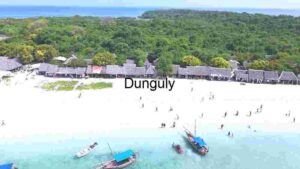Tropical Beach Resort Aerial View