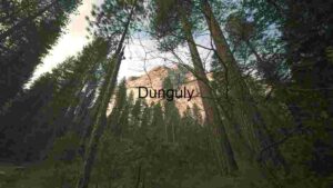 Majestic Forest Canopy and Mountain Vista