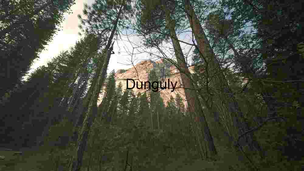 Majestic Forest Canopy and Mountain Vista