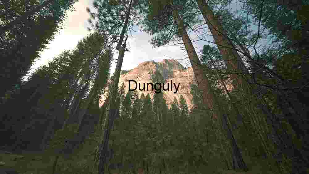 Majestic Mountain View Through Forest Canopy