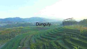Serene Terraced Rice Fields at Dawn
