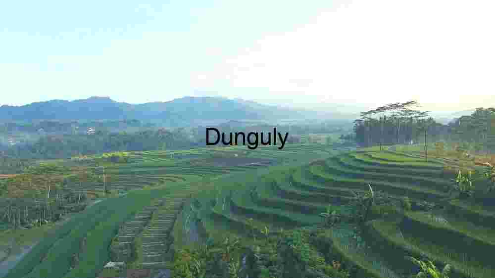 Serene Terraced Rice Fields at Dawn