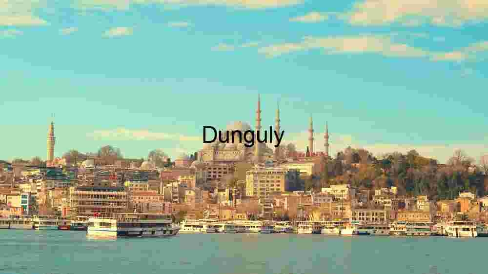 Serene Istanbul Skyline