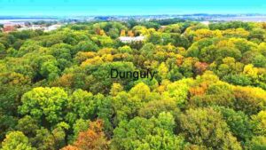 Aerial View of Autumn Forest