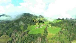 Serene Alpine Village Amidst Misty Mountains