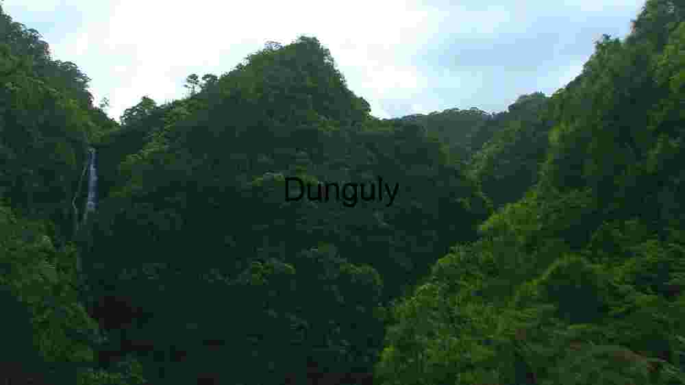 Verdant Vista: A Waterfall Amidst Lush Greenery