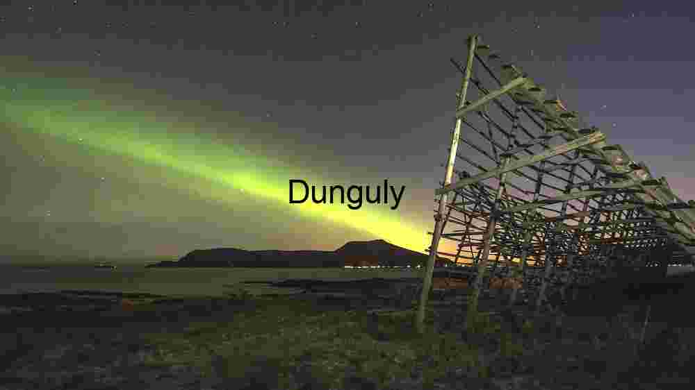 Aurora Borealis Over Coastal Landscape