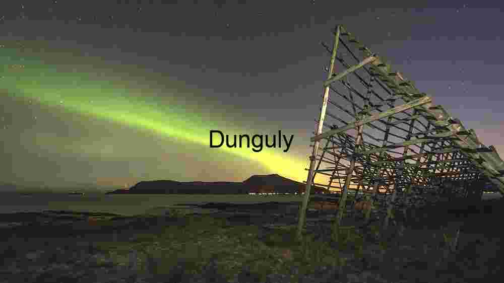 Aurora Borealis Over Coastal Landscape