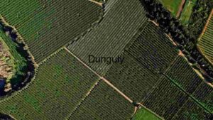 Aerial View of Agricultural Fields