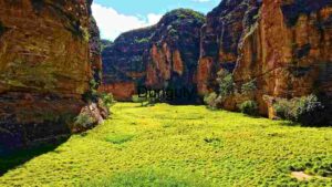 Aerial View of Meandering River in Tundra Landscape