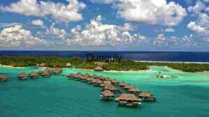 Tropical Paradise Retreat