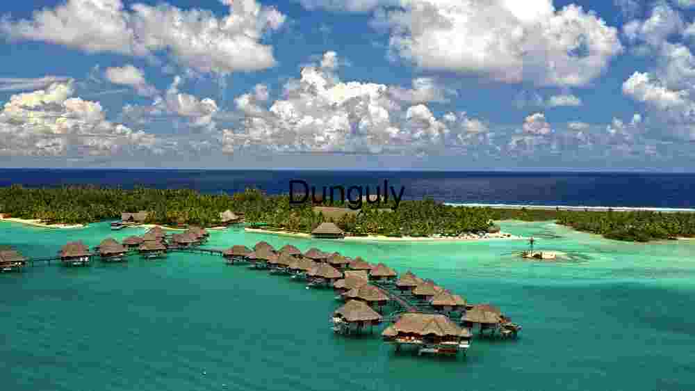 Tropical Paradise Retreat