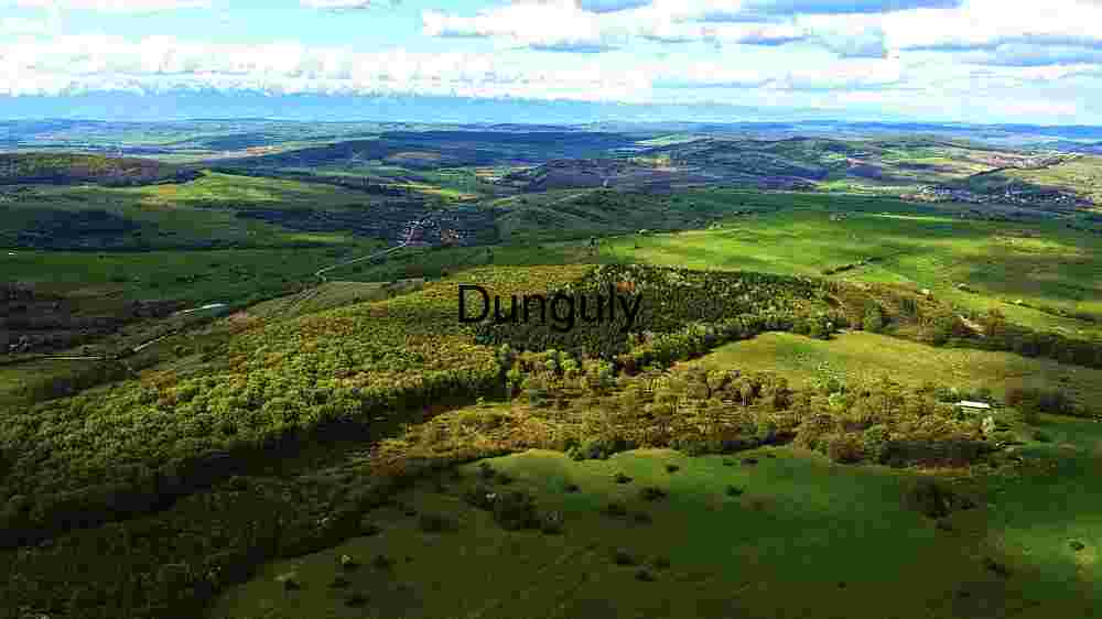 Expansive Green Landscape with Distant Snow-Capped Mountains
