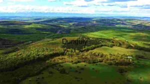 Aerial View of Verdant Landscape with Distant Mountains
