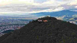 Serene Hilltop View Overlooking a Sprawling Valley