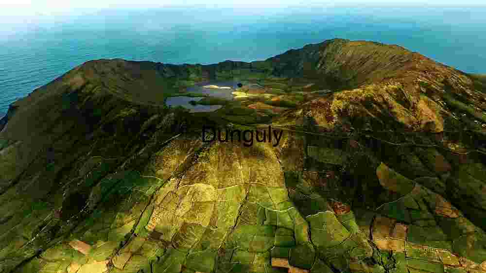 Majestic Mountain Stream through a Pine Forest