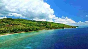 Tropical Paradise: Aerial View of a Lush Coastal Landscape
