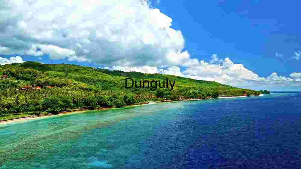 Tropical Paradise: Aerial View of a Lush Coastal Landscape