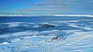 Antarctic Serenity: Penguins on Ice