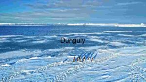 Antarctic Expedition: Penguins on Ice