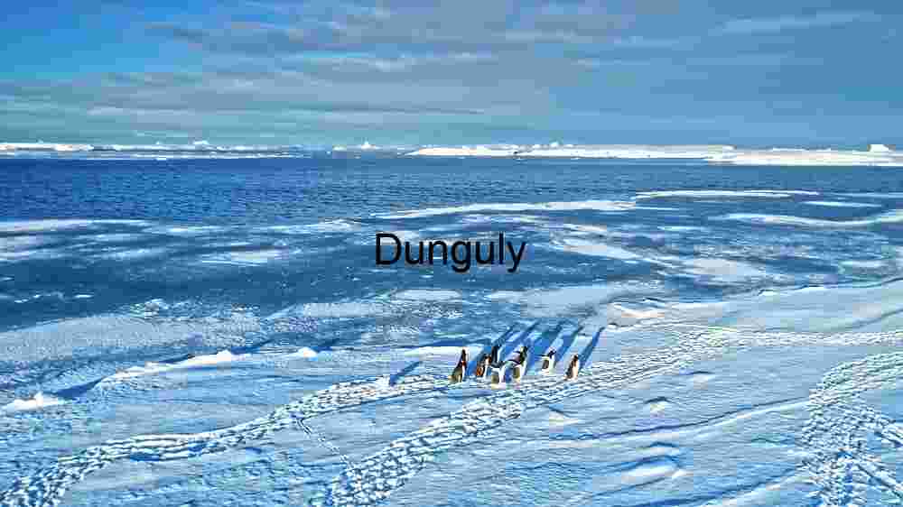 Antarctic Expedition: Penguins on Ice