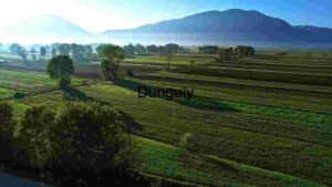 Serene Agricultural Landscape with Mountain Backdrop