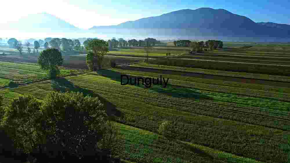 Serene Agricultural Landscape with Mountain Backdrop
