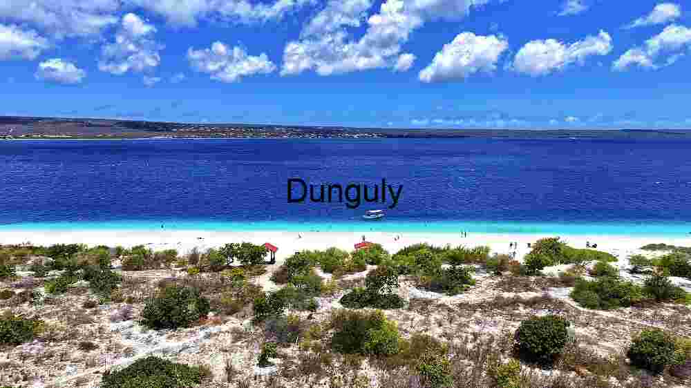 Tropical Beach Paradise