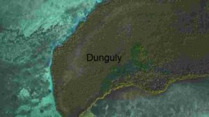 Aerial View of a Lush Coastal Ecosystem