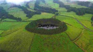 Verdant Vista: Aerial View of a Secluded Lake